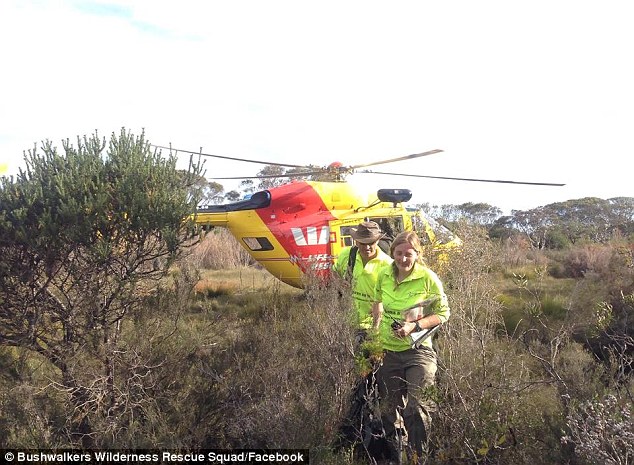 Bushwalkers Wilderness Rescue Squad members disembark from a helicopter 